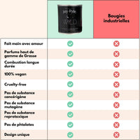 Bougie Artisanale Musc - Ambre - Cardamome - Élégance Boisée