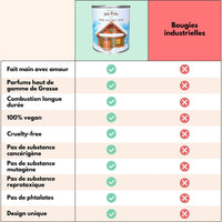 Bougie Artisanale Gui – Elégance végétale hivernale